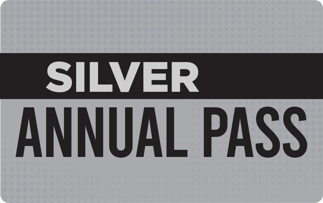 Silver Card