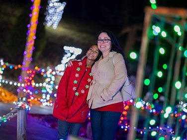 Duke's Merry Village