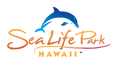 sealife park hawaii
